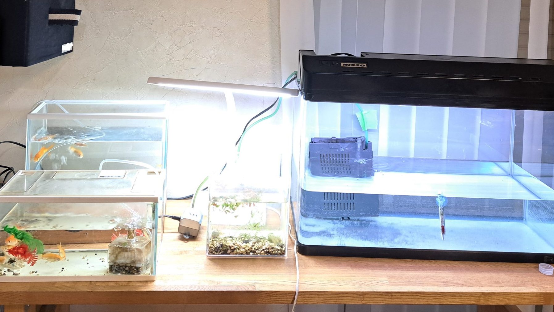 60センチ水槽に外部式フィルターを設置しました