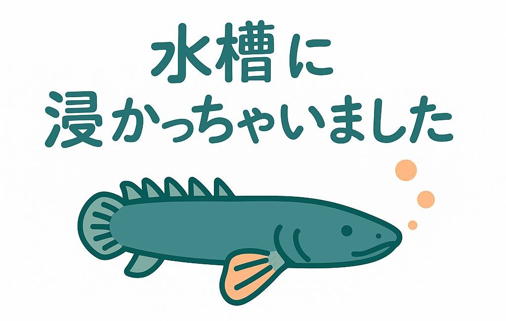 水槽に浸かっちゃいました